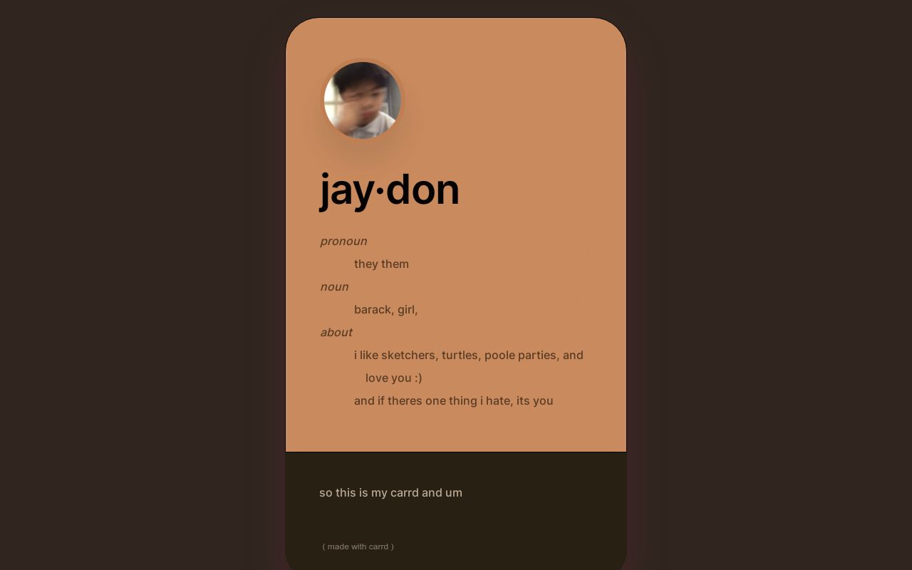 Carrd profile picture for @convertible
